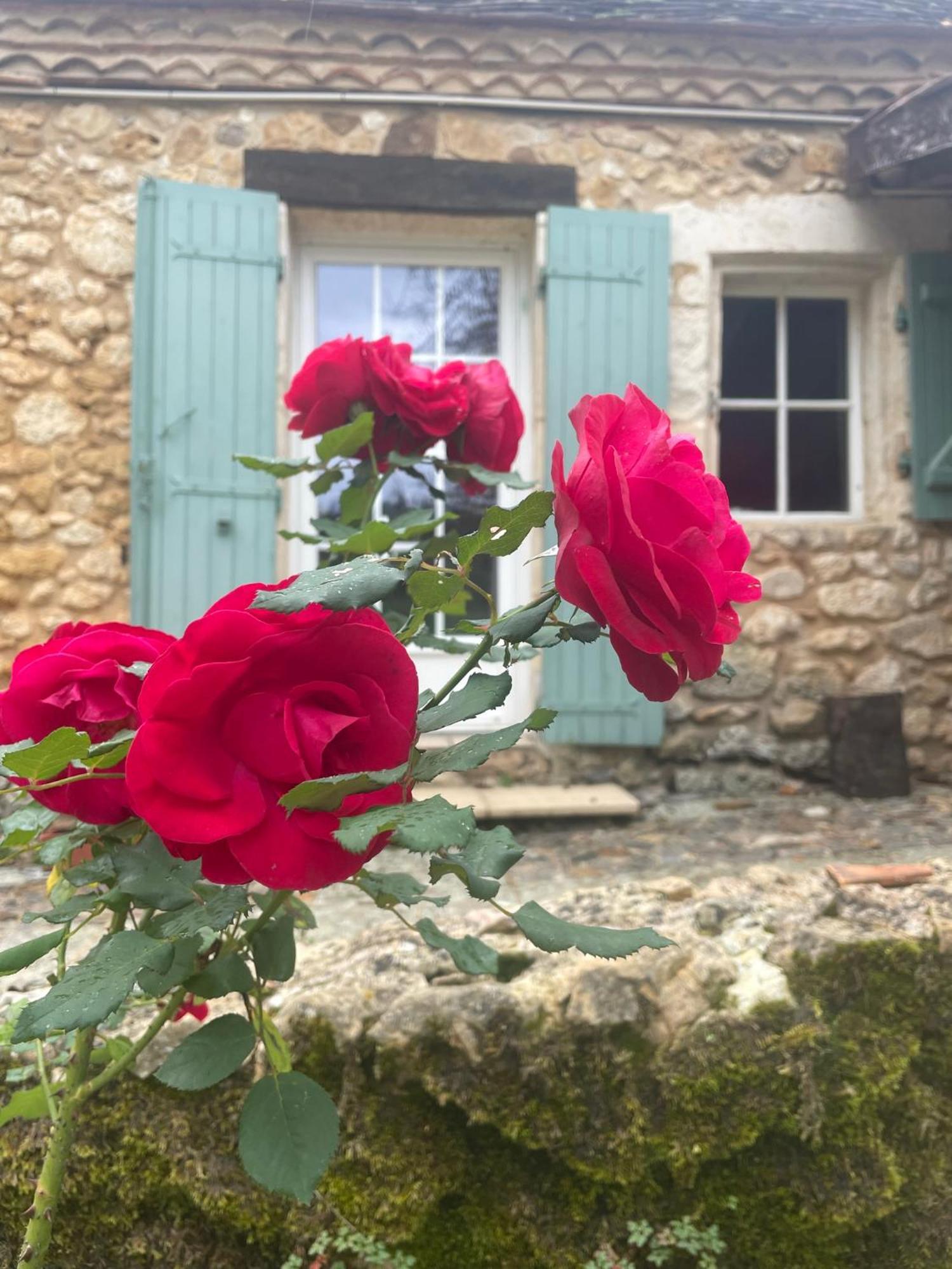 Les Rocailles Acomodação com café da manhã Lamonzie-Montastruc Exterior foto